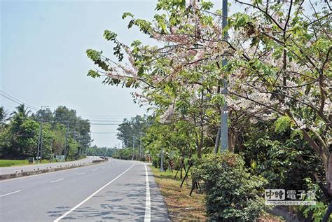 屏東道路寬度查詢 瓜瓞延祥